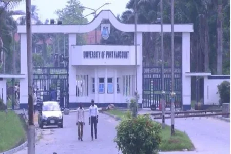uniport (1).webp