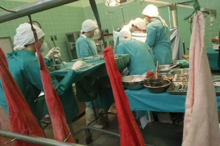 organ transplant (1).webp