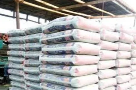 Dangote Cement Places Premium on Community Engagement, Sustainability in Host Communities