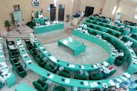 Nigerians React to Kano Assembly's Reversion to Single Emirate System
