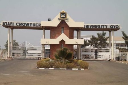 Tragic Incident at Ajayi Crowther University: Student Beaten to Death Over Alleged Phone Theft