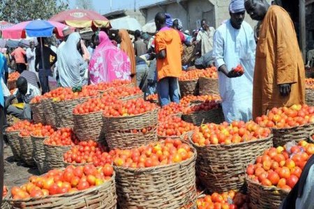 Plateau Residents Struggle as Tomato and Pepper Prices Reach Record Highs