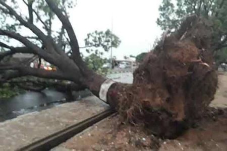 Tragedy Strikes Bauchi: Windstorm Leaves Five Dead, Three Injured