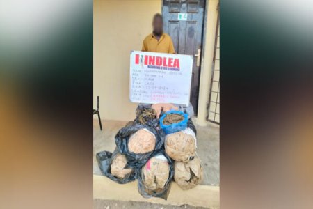 70-Year-Old Grandfather Arrested with 57.2kg of Cannabis in Nasarawa Leaves Nigerians Stunned