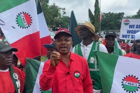 Strike: Labour Union Pushes NASS for Fair Wages, Opposes Starvation Wage