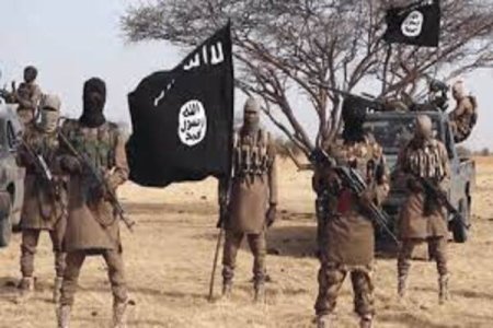 Horror in Niger State: Suspected Boko Haram Militants Slaughter 20 Victims