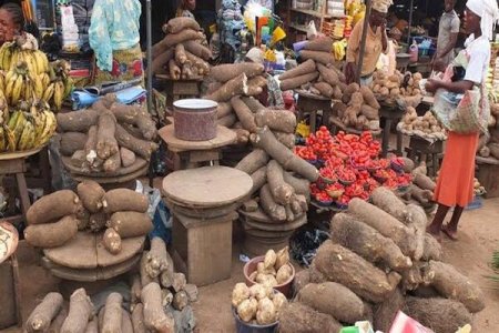 Nigerian Farmers Sound Alarm: Food Inflation Crisis to Worsen