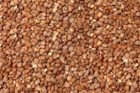 Soaring Bean Price Hikes Strain Nigerian Households