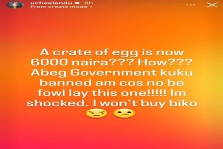 crate of egg (1).webp crate of egg (1).webp