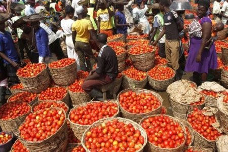 Nigerian Families Adapt as Tomato Prices Hit Record Highs