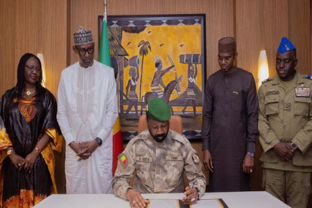 Niger, Mali, Burkina Faso Exit ECOWAS, Join Sahel Alliance Amid Security Concerns