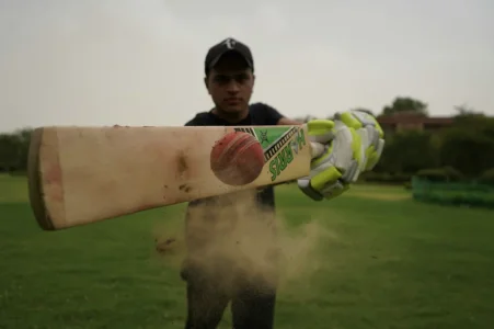 cricket-post.webp cricket-post.webp