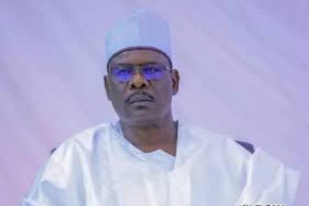 Ali Ndume Calls Out Corruption in President Tinubu's Administration