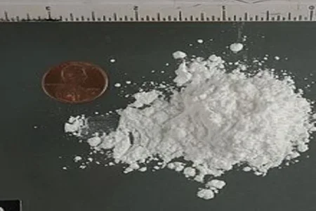 cocaine wikipedia (1).jpg cocaine wikipedia (1).jpg