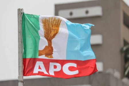 APC Blames PDP for Economic Woes, Defends Tinubu's Reforms