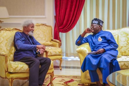 Wole Soyinka's Decision to Remain Silent on Tinubu Draws Both Criticism and Support