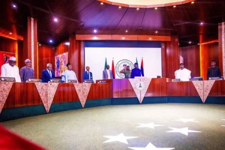 Tinubu-FEC (1).webp Tinubu-FEC (1).webp