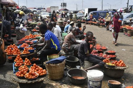 Nigeria's Food Prices Soar: Tomatoes Witness a 320% Price Increase Under Tinubu