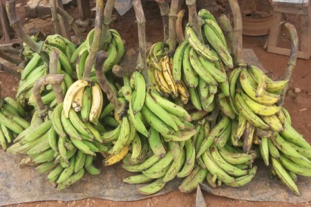 Viral Video: Nigerian Husband Storms Church to Retrieve Plantains Donated by His Wife
