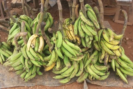 Nigerian Man storms church to retrieve plantain donated by wife (1).jpg