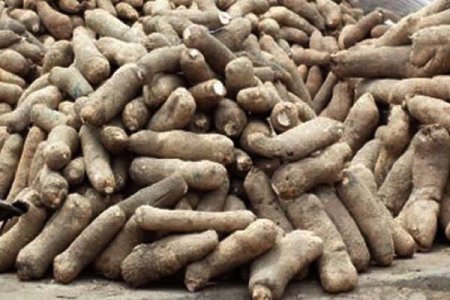 Economic Hardship: Kaduna Residents Forced to Drop Yam from Diets as Prices Hit N10,000