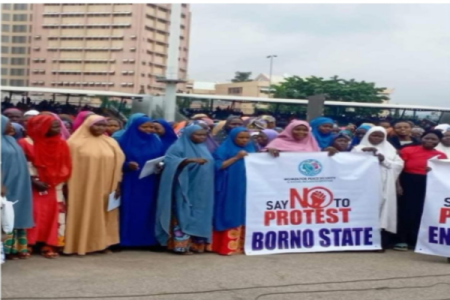 Nigerians Laugh at Women’s Group as They Accuse APC Leaders of Deception in Abuja 'Say No To Protest' Photo Op