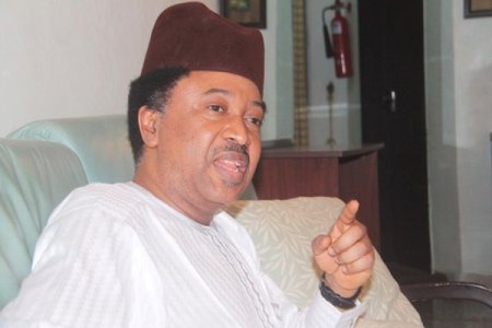 Shehu Sani Challenges RMAFC Figures, Claims Senators Receive N21 Million Monthly