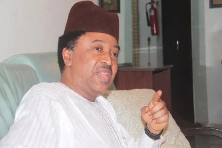Shehu-Sani1 (1).webp Shehu-Sani1 (1).webp