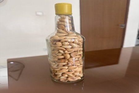 Cashew Nut Prices Hit N7,000 Per Bottle: Joe Abah Raises Alarm