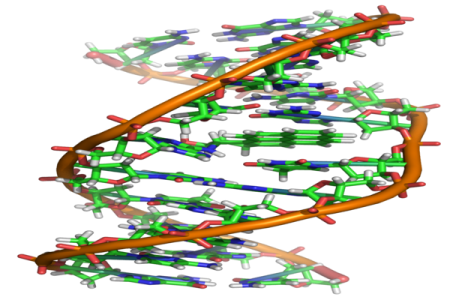 DNA report (1).png