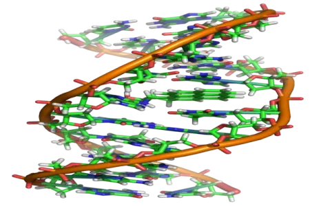 DNA report (1).webp DNA report (1).webp
