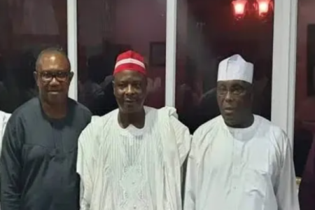 PDP Spokesman Confirms Talks Between Atiku, Obi, and  Kwankwaso Ahead of 2027