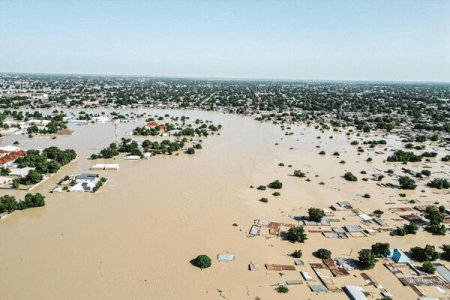 Panic in Maiduguri as Flooding Frees Crocodiles and Snakes from Zoo