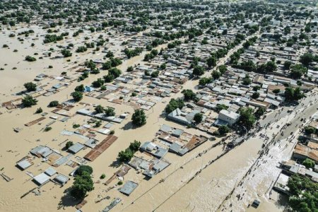 [PHOTOS/VIDEOS] Maiduguri Flood: Shehu’s Palace Submerged, Many Residents Displaced