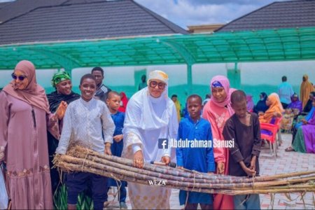 Nigerians React to Sugar Cane Distribution by House of Reps Member's Wife: Empowerment or Joke?