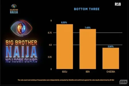 bbnaija how viewers voted (1).webp bbnaija how viewers voted (1).webp