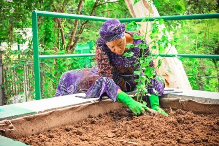 Viral Video: Remi Tinubu's Unity Fabric and Home Farming Ideas Slammed