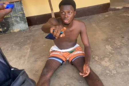 adeleye (1).webp adeleye (1).webp