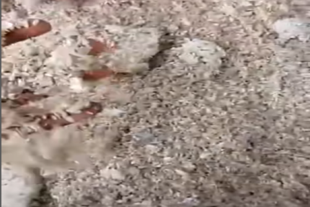 [VIDEO] : Nigerians Alarmed by Moldy Rice Distributed to Flood Victims in Maiduguri