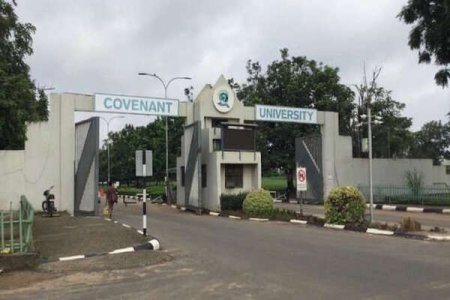 FULL LIST: CU Tops THE Rankings 2024, Outranking UI as Nigeria’s Best University