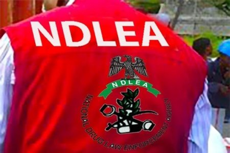 Outrage as NDLEA Requires Letter of Approval from Husbands for Married Women's Visa Applications