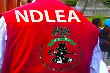 NDLEA-1 (1).jpg NDLEA-1 (1).jpg