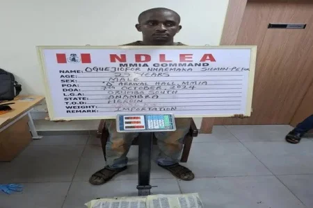 ndlea tHAILAND (1).webp ndlea tHAILAND (1).webp