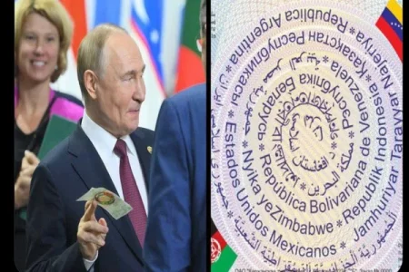 BRICS Lang (1).webp BRICS Lang (1).webp