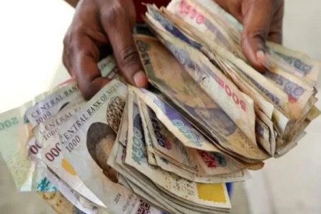 Nigerian Lawmakers Push for Swift Withdrawal of Old Naira Notes