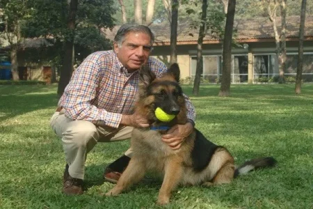 indian billionaire and his dog (1).webp indian billionaire and his dog (1).webp