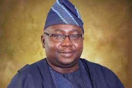 Power Minister Adebayo Adelabu Under Fire as Northern States Endure Unrelenting Blackout