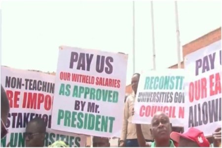 NASU Members Begin Receiving Salaries as Government Responds to Strikes