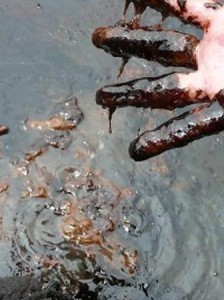 an-amnesty-international-nigeria-oil-spills-224x300.jpg