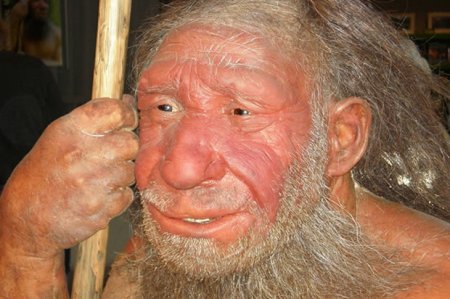 Neanderthal.jpg